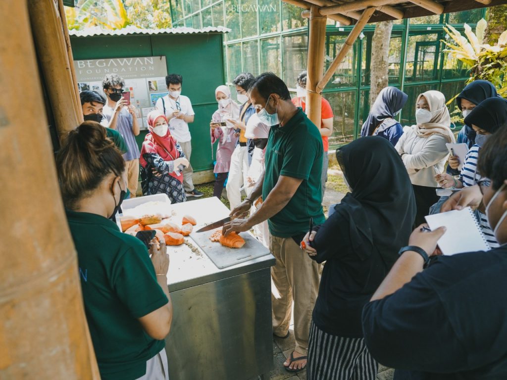 Begawan Veterinarian prepares the food for Bali Starling