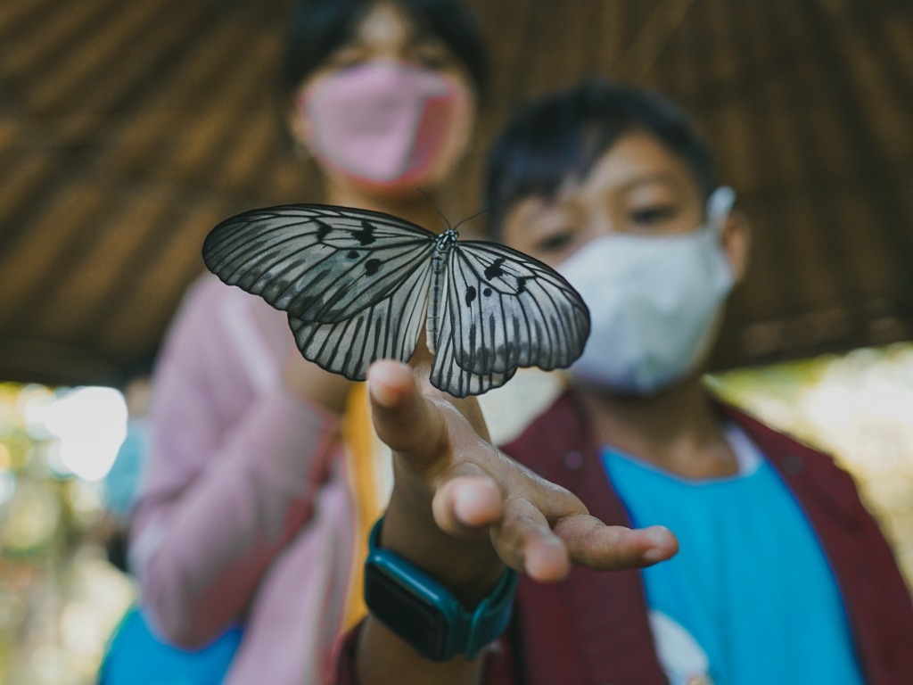 Eco Warriors Visit A Butterfly Park