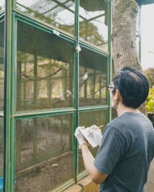 Healthy Environment for Birds at Begawan Breeding and Release Centre