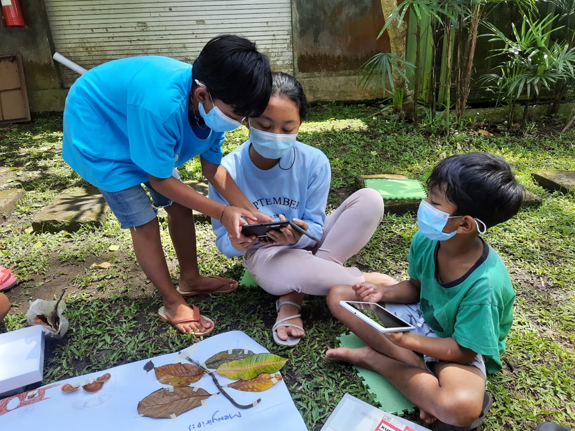 Studying in the Forest to Recognise the Plants Growing in Bali￼