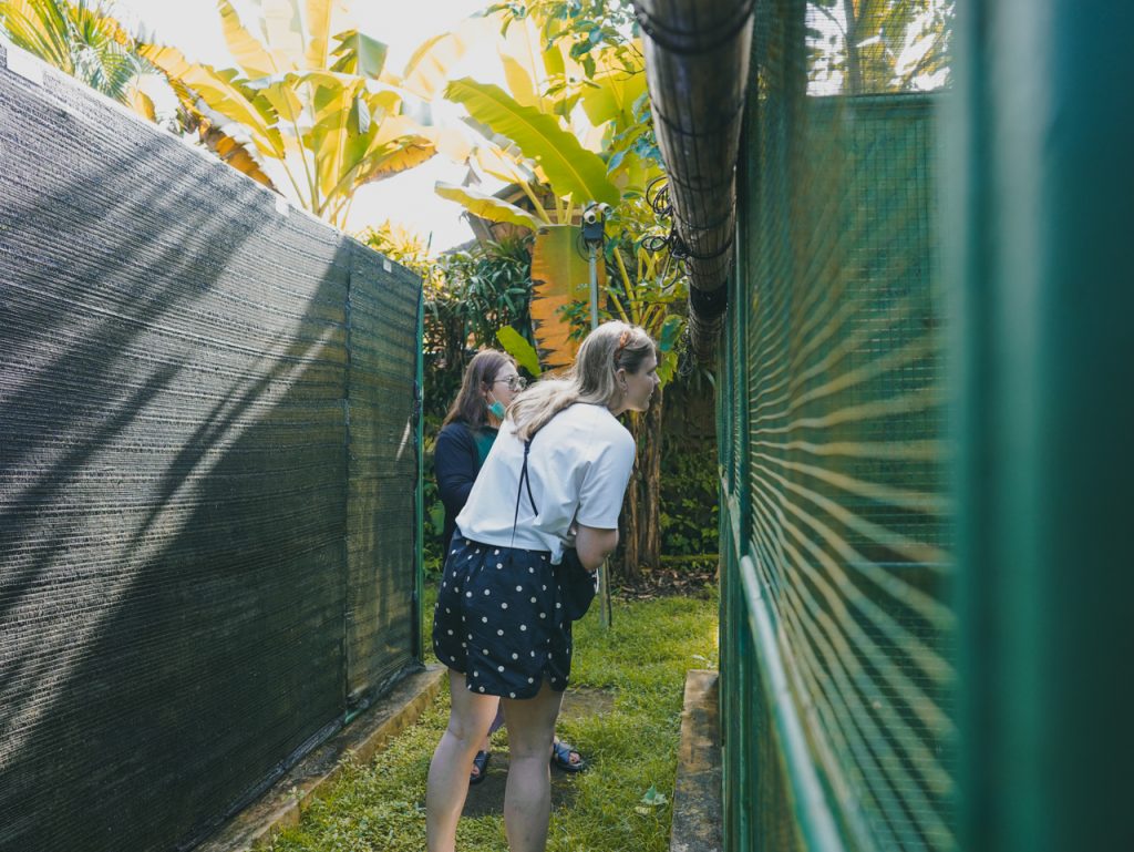 Positive Impact - Isabel sees the birds from outside of the enclosure