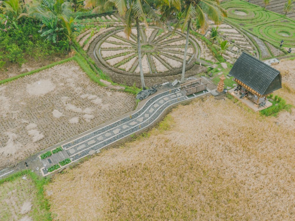 Begawan Regenerative Rice Fields, Permaculture Garden, Subak Water Filter, and Lumbung