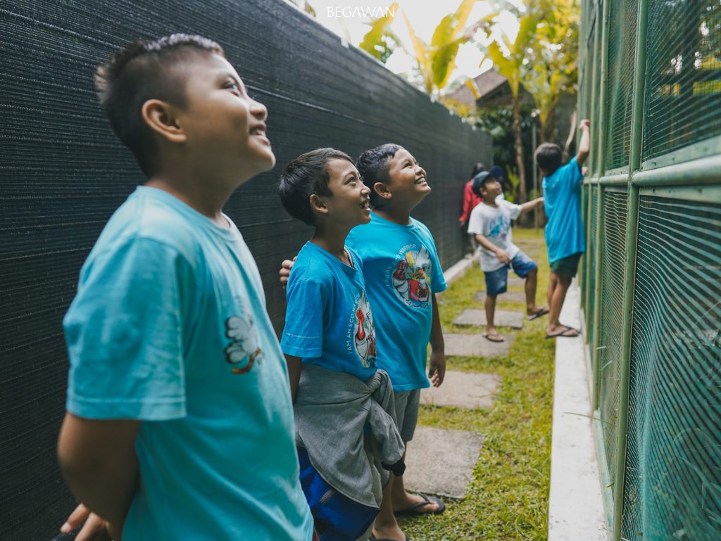 Eco Warrior students observe Bali Starlings from outside enclosure
