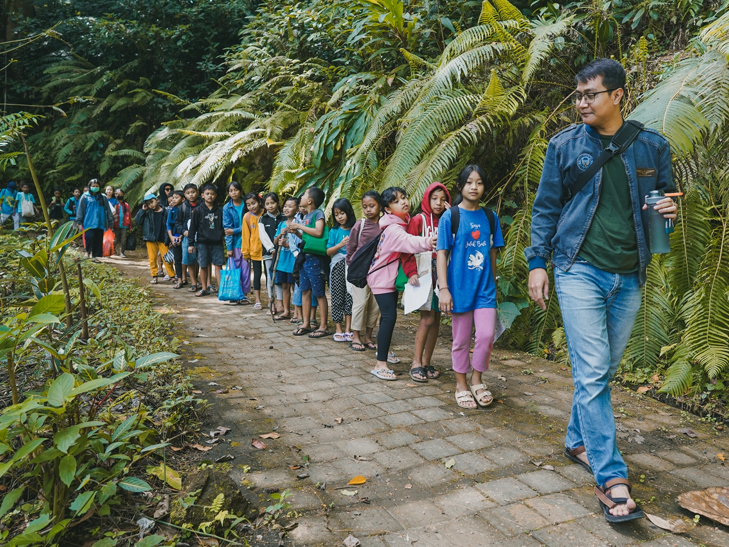 walk along in secret forest, facilitator and students