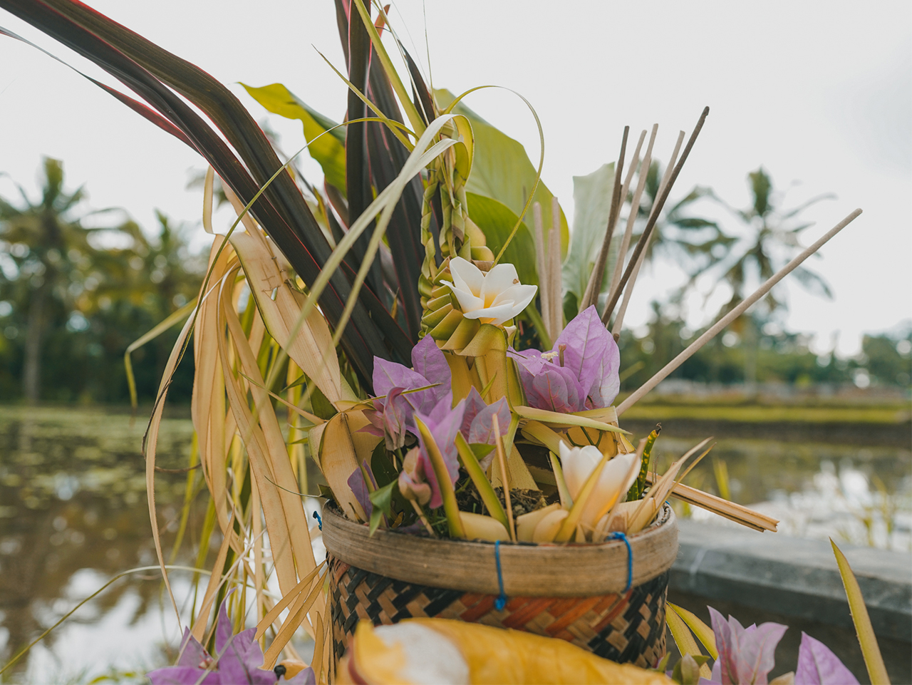 Tradisi Bali yang Berakar pada Kesadaran Lingkungan
